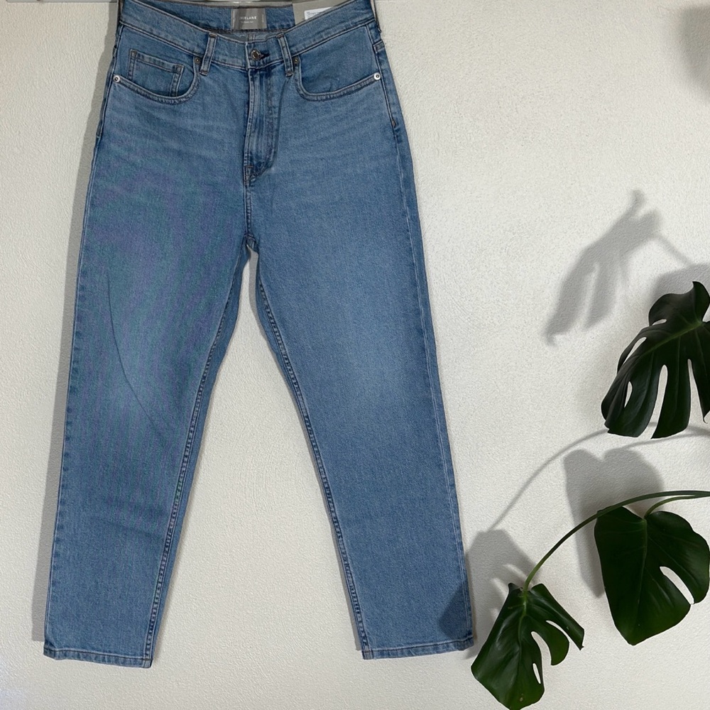 Everlane High-Rise Ankle Jeans | Light Wash | 29 (NWT)